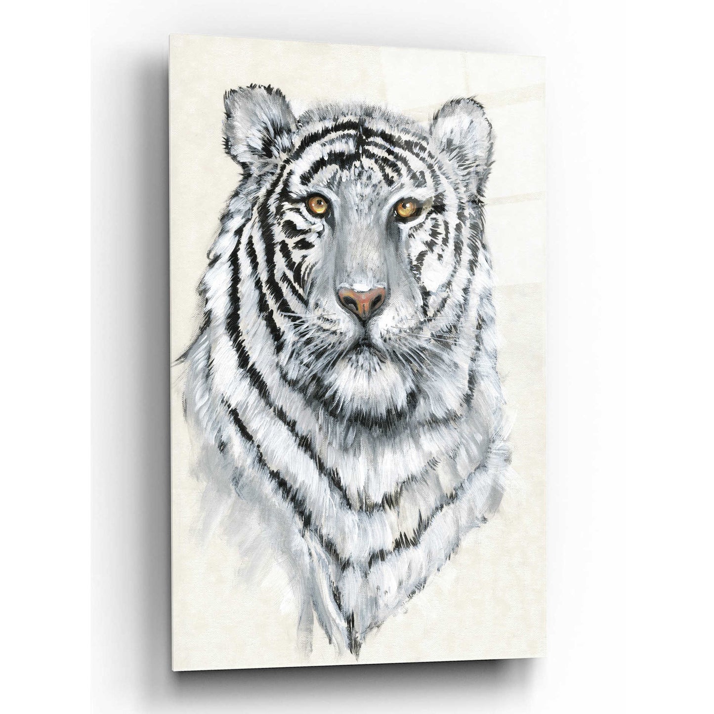 Epic Art 'White Tiger II' by Tim O'Toole, Acrylic Glass Wall Art,12x16