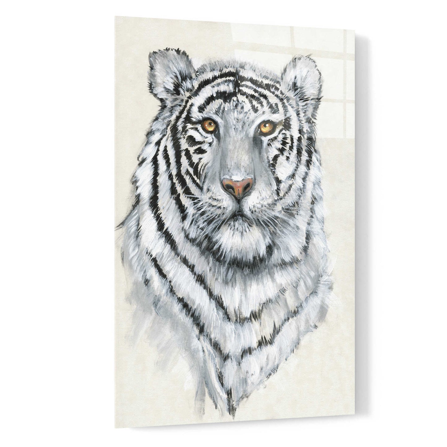 Epic Art 'White Tiger II' by Tim O'Toole, Acrylic Glass Wall Art,16x24