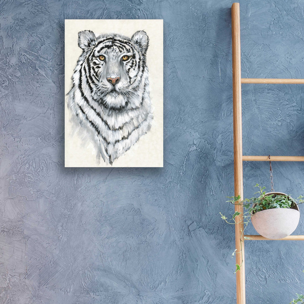 Epic Art 'White Tiger II' by Tim O'Toole, Acrylic Glass Wall Art,16x24