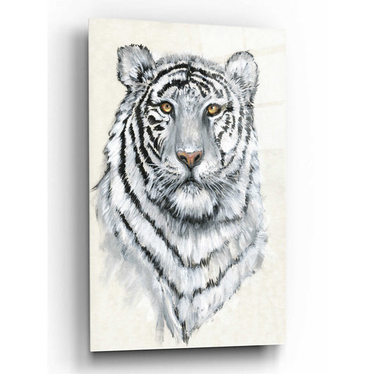 Epic Art 'White Tiger II' by Tim O'Toole, Acrylic Glass Wall Art