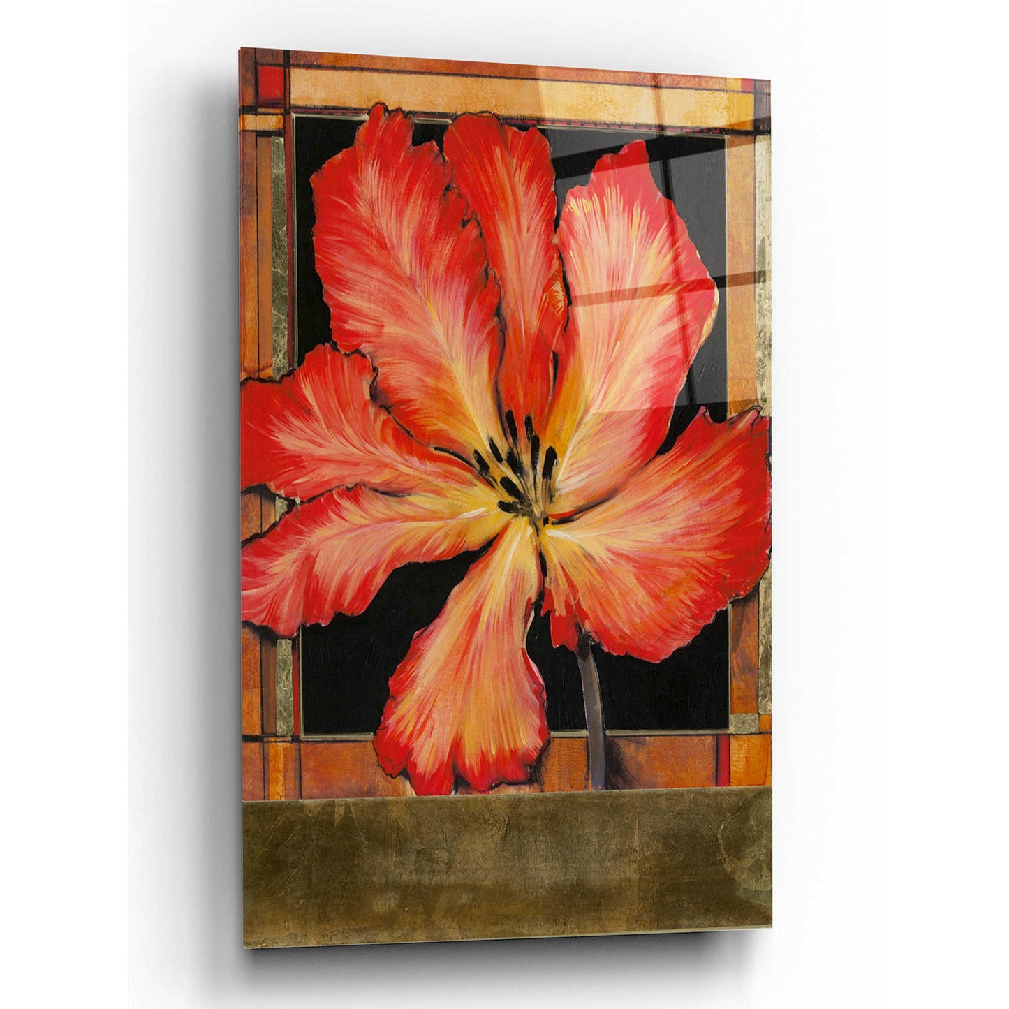 Epic Art 'Embellished Parrot Tulip I' by Tim O'Toole, Acrylic Glass Wall Art,12x16