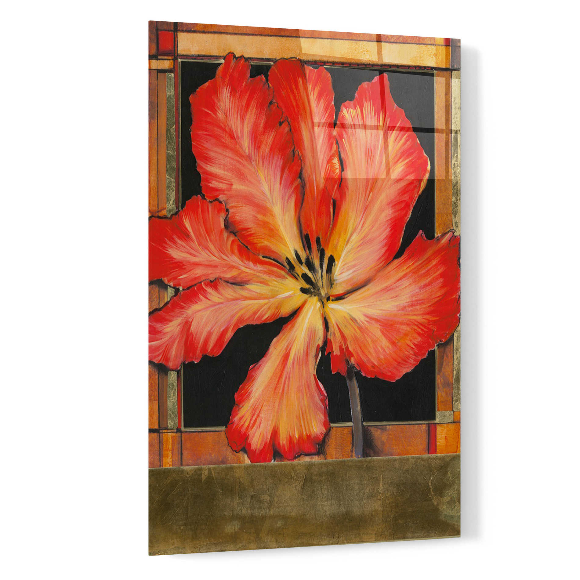 Epic Art 'Embellished Parrot Tulip I' by Tim O'Toole, Acrylic Glass Wall Art,16x24