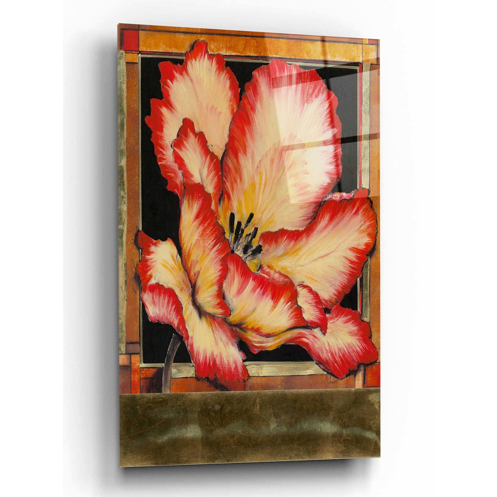 Epic Art 'Embellished Parrot Tulip II' by Tim O'Toole, Acrylic Glass Wall Art,12x16