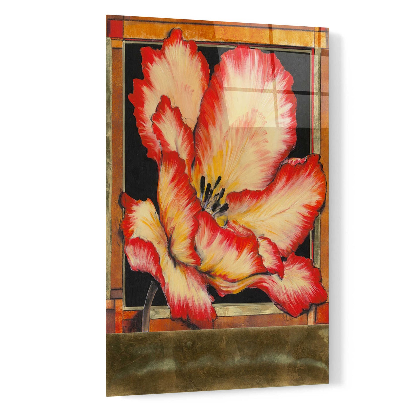 Epic Art 'Embellished Parrot Tulip II' by Tim O'Toole, Acrylic Glass Wall Art,16x24