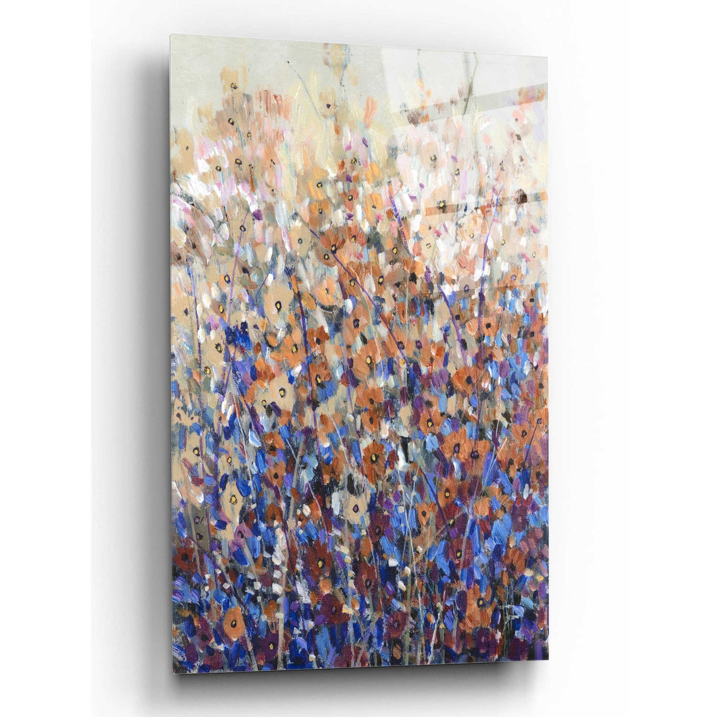 Epic Art 'Fall Wildflowers I' by Tim O'Toole, Acrylic Glass Wall Art,12x16