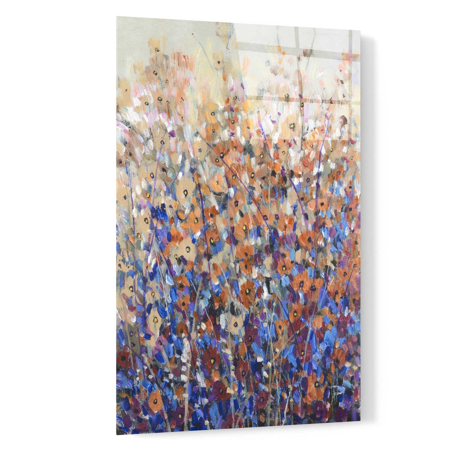 Epic Art 'Fall Wildflowers I' by Tim O'Toole, Acrylic Glass Wall Art,16x24