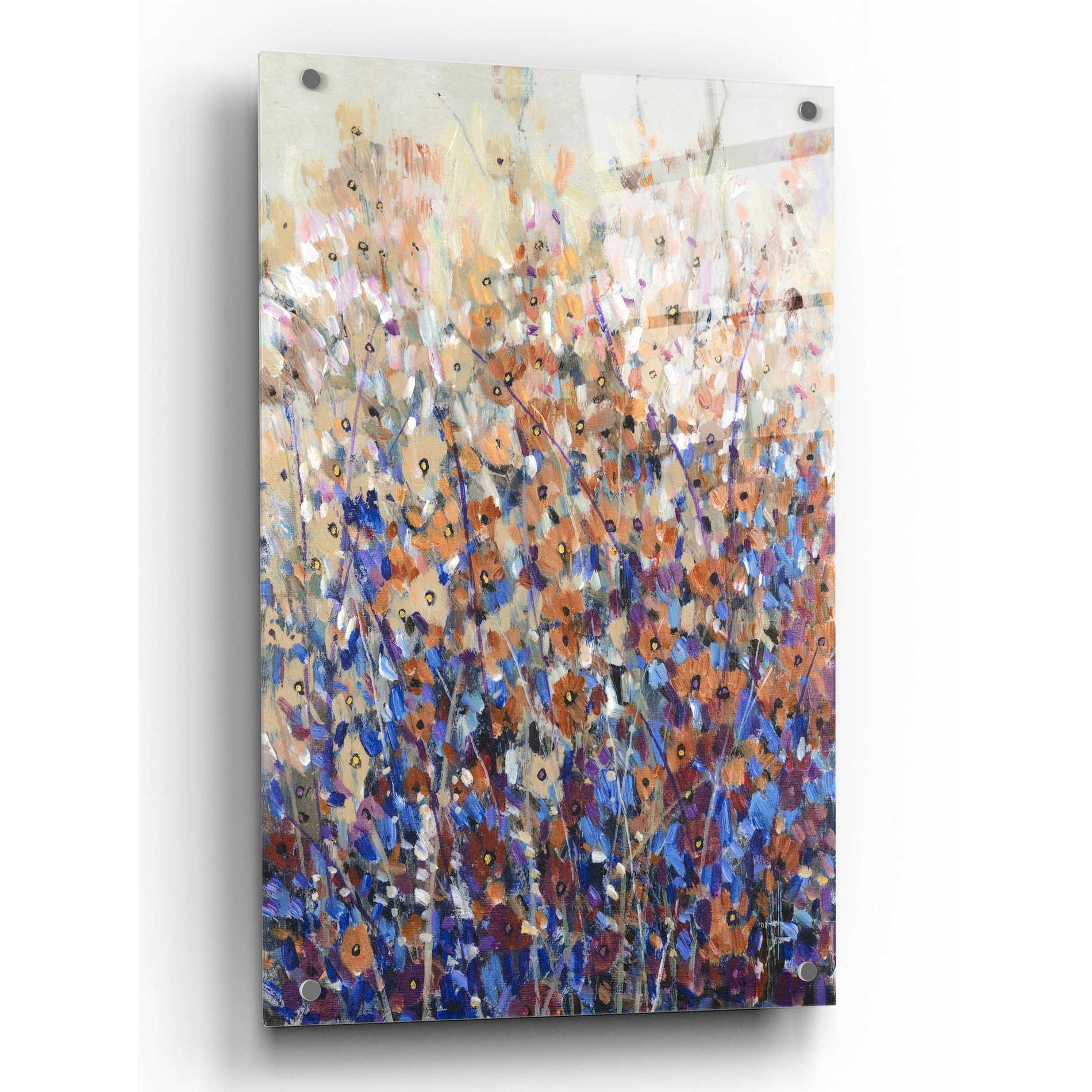 Epic Art 'Fall Wildflowers I' by Tim O'Toole, Acrylic Glass Wall Art,24x36