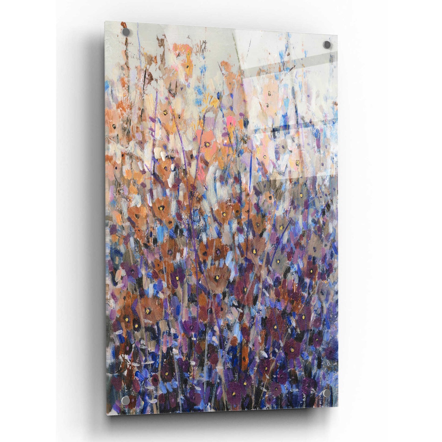 Epic Art 'Fall Wildflowers II' by Tim O'Toole, Acrylic Glass Wall Art,24x36