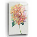 Epic Art 'Multicolor Floral I' by Tim O'Toole, Acrylic Glass Wall Art