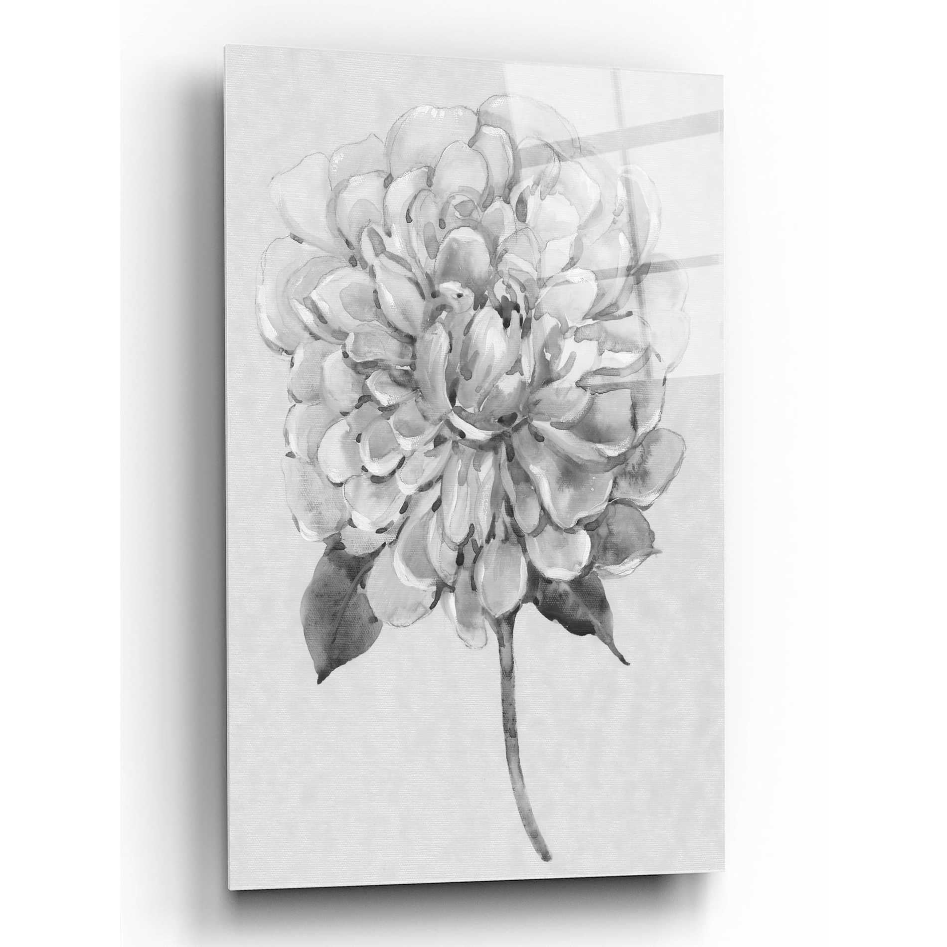 Epic Art 'Silvertone Floral I' by Tim O'Toole, Acrylic Glass Wall Art,12x16