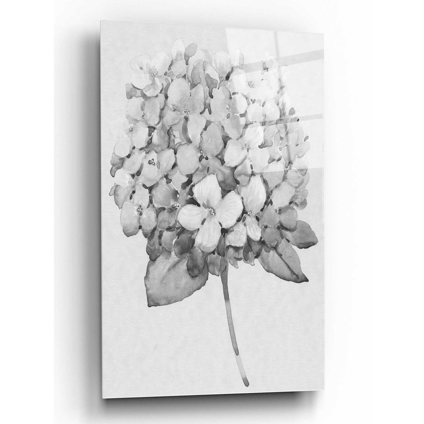 Epic Art 'Silvertone Floral II' by Tim O'Toole, Acrylic Glass Wall Art,12x16