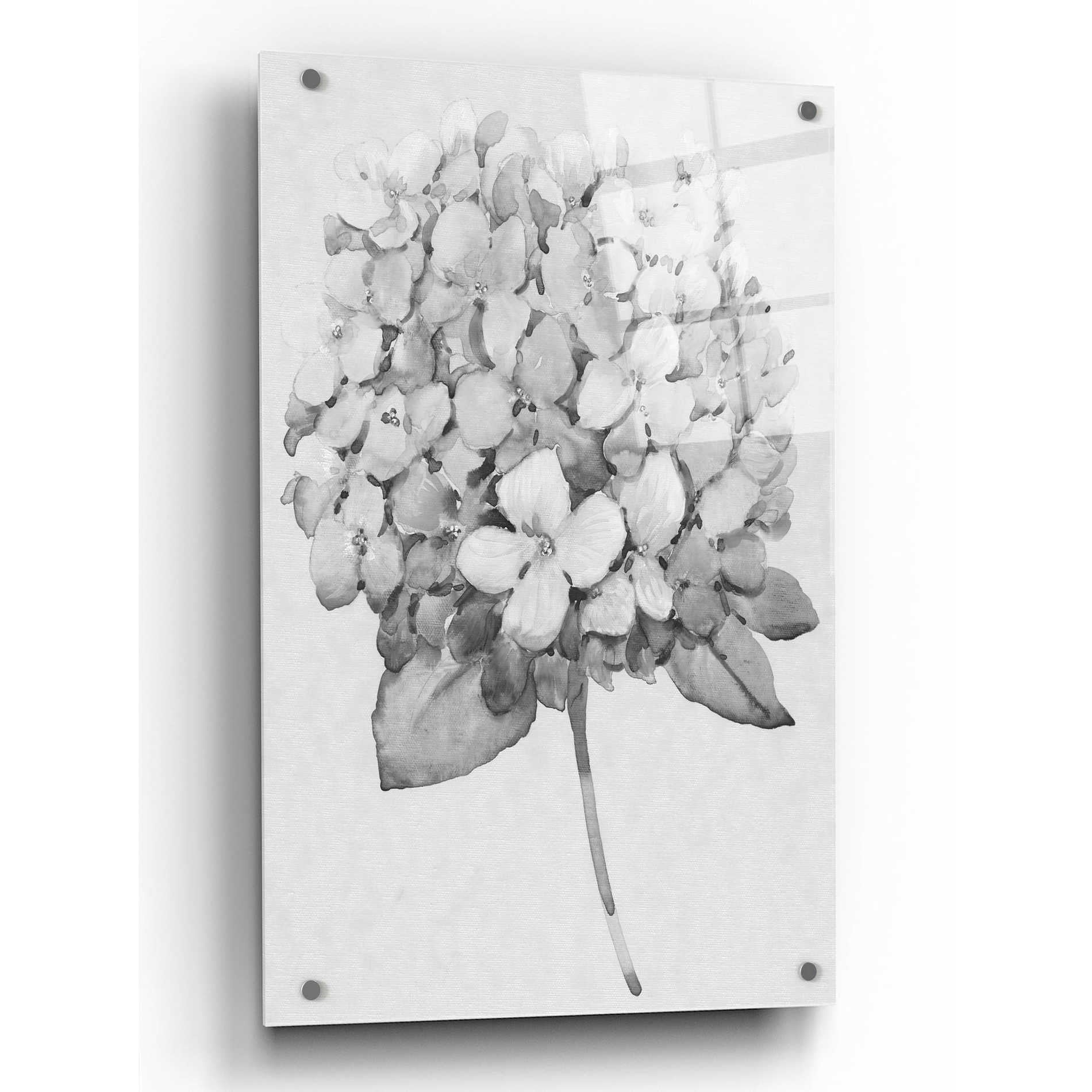 Epic Art 'Silvertone Floral II' by Tim O'Toole, Acrylic Glass Wall Art,24x36