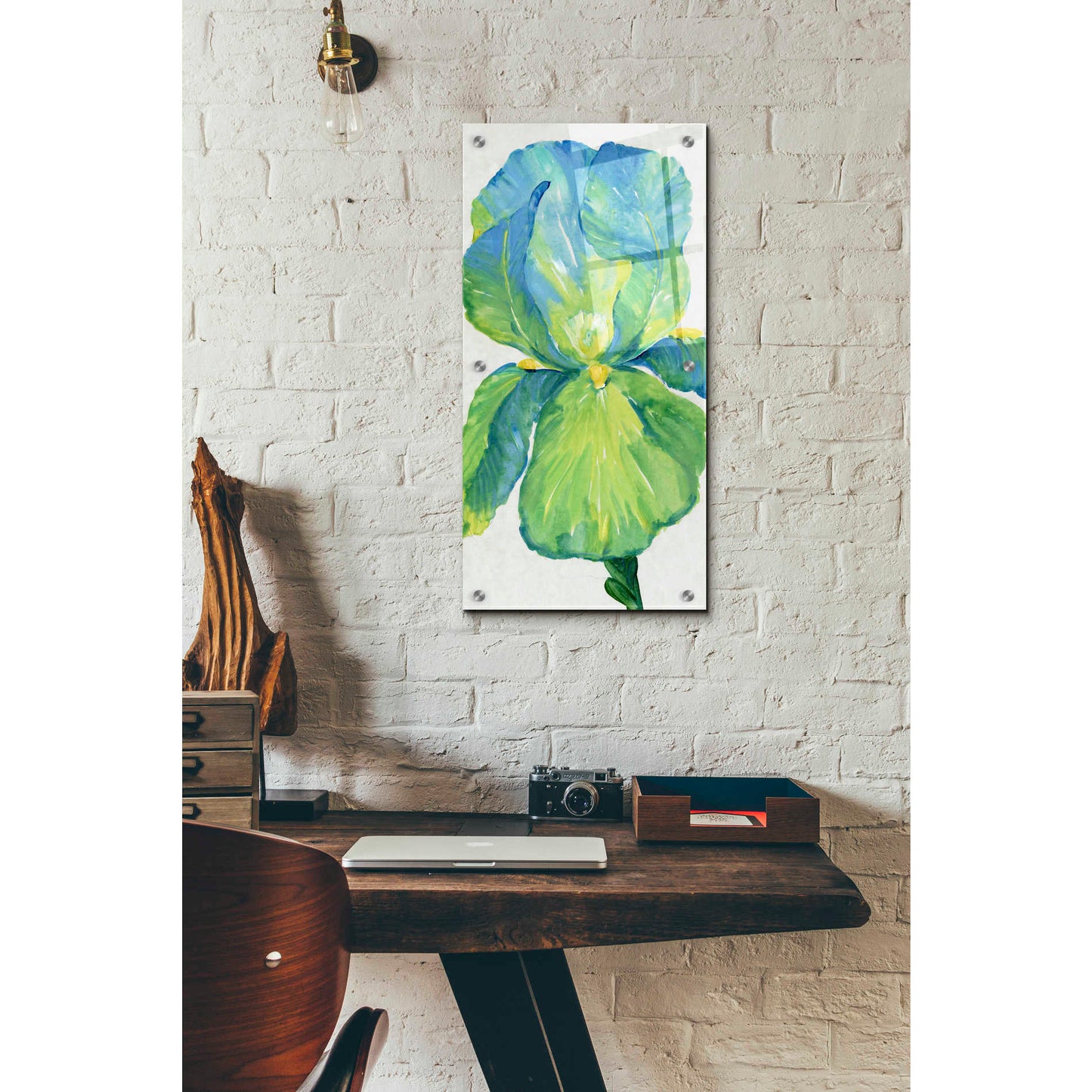 Epic Art 'Iris Bloom in Green I' by Tim O'Toole, Acrylic Glass Wall Art,12x24