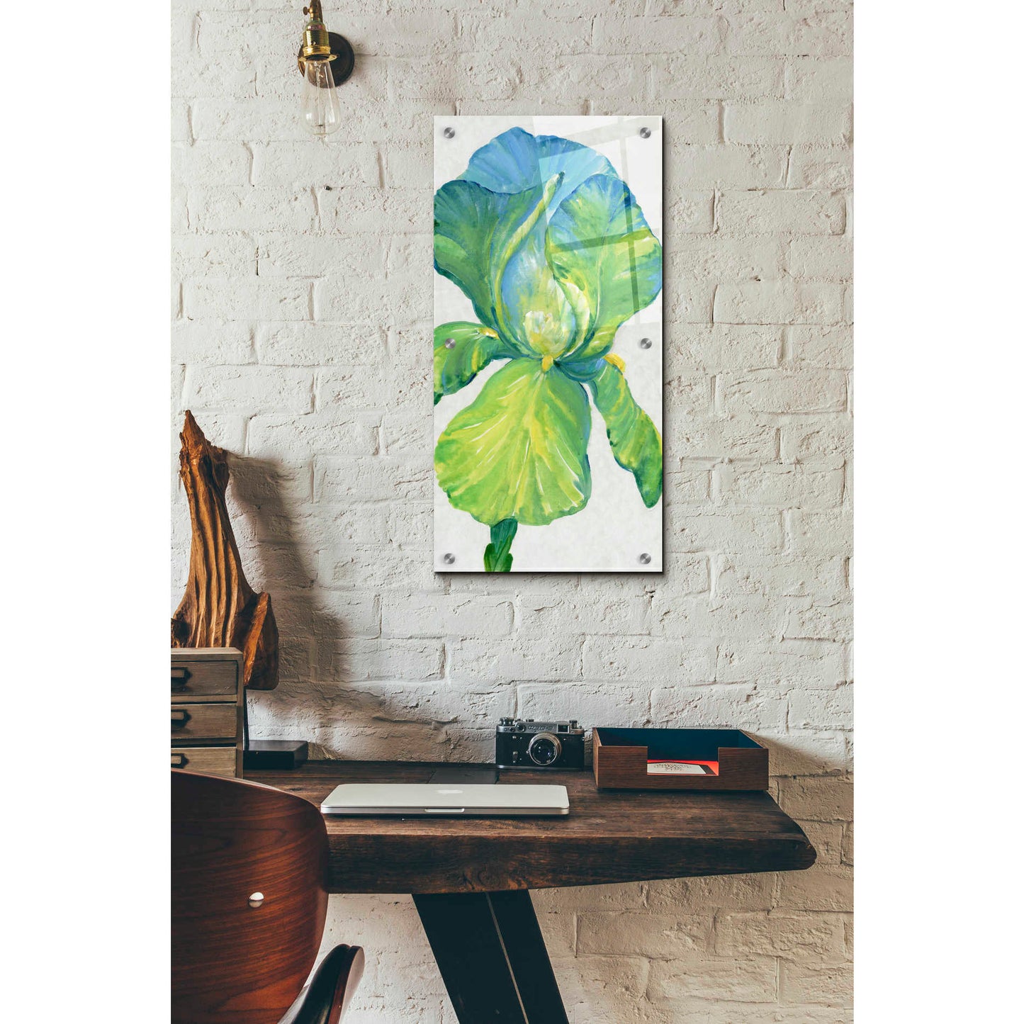 Epic Art 'Iris Bloom in Green II' by Tim O'Toole, Acrylic Glass Wall Art,12x24