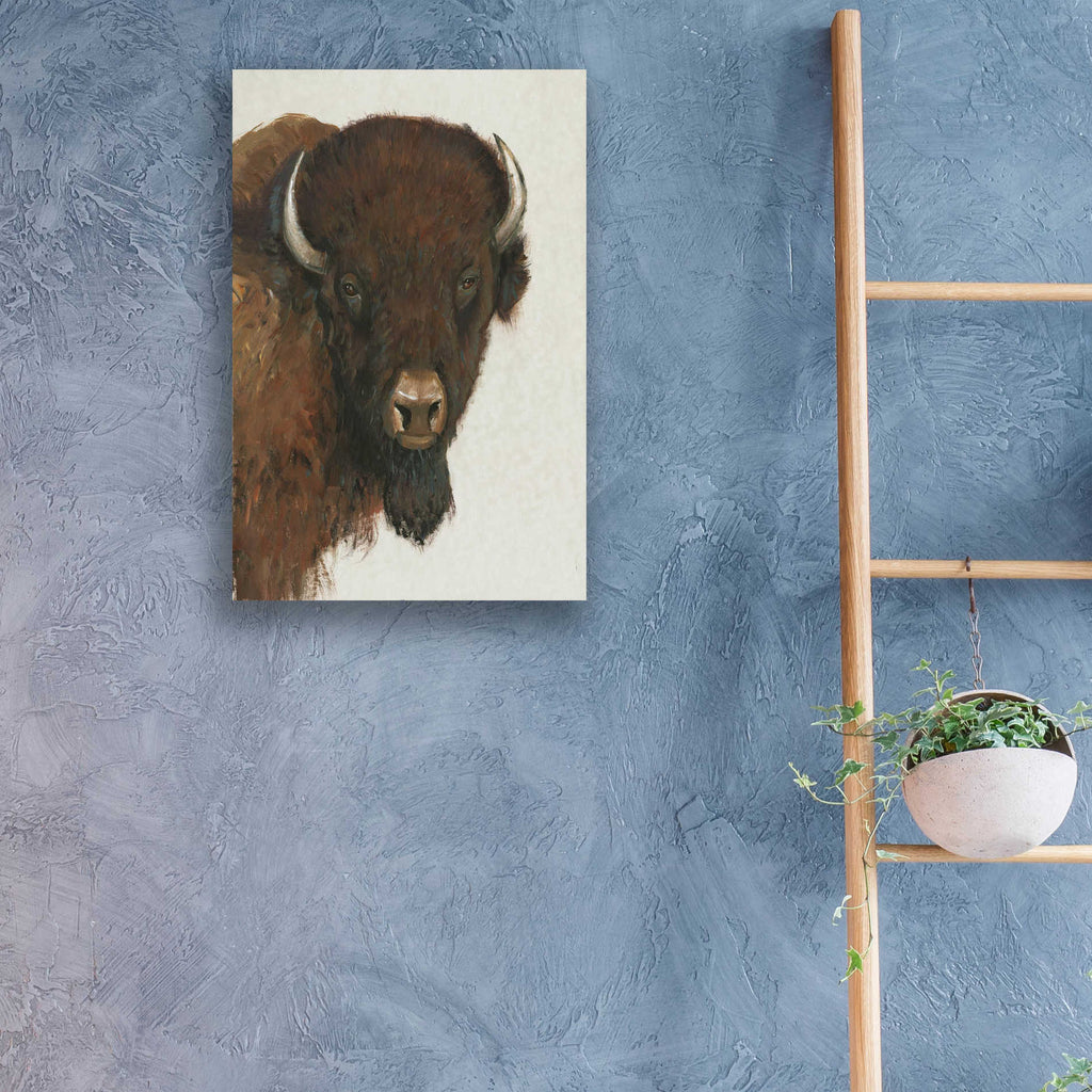 Epic Art 'Western Portrait II' by Tim O'Toole, Acrylic Glass Wall Art,16x24