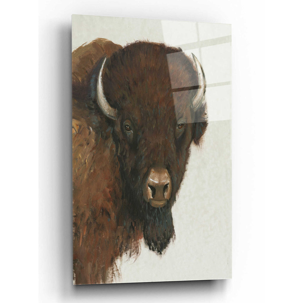 Epic Art 'Western Portrait II' by Tim O'Toole, Acrylic Glass Wall Art