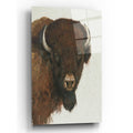 Epic Art 'Western Portrait II' by Tim O'Toole, Acrylic Glass Wall Art