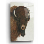 Epic Art 'Western Portrait II' by Tim O'Toole, Acrylic Glass Wall Art