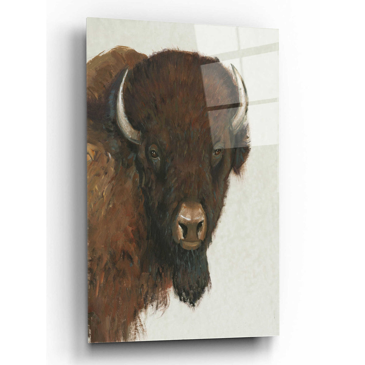 Epic Art 'Western Portrait II' by Tim O'Toole, Acrylic Glass Wall Art