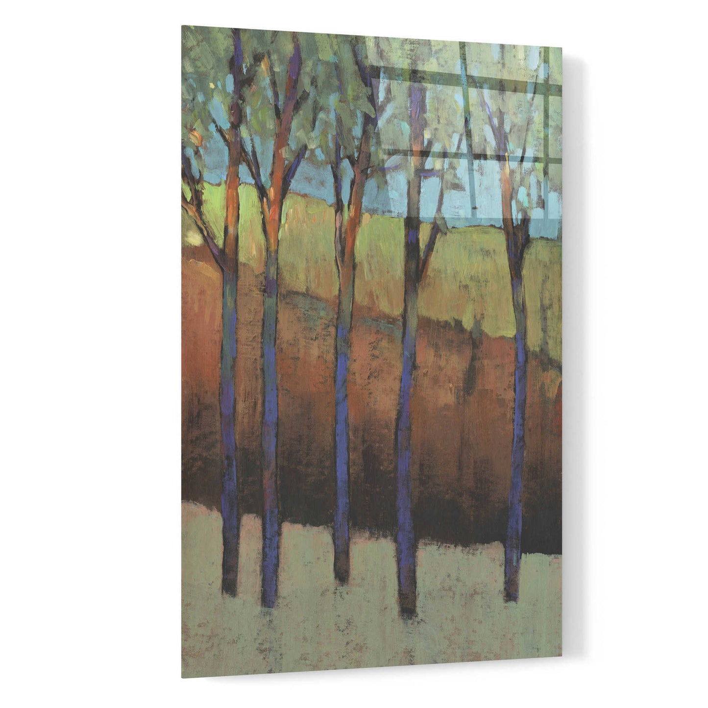 Epic Art 'Glimmer in the Forest I' by Tim O'Toole, Acrylic Glass Wall Art,16x24