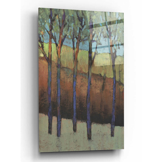 Epic Art 'Glimmer in the Forest I' by Tim O'Toole, Acrylic Glass Wall Art