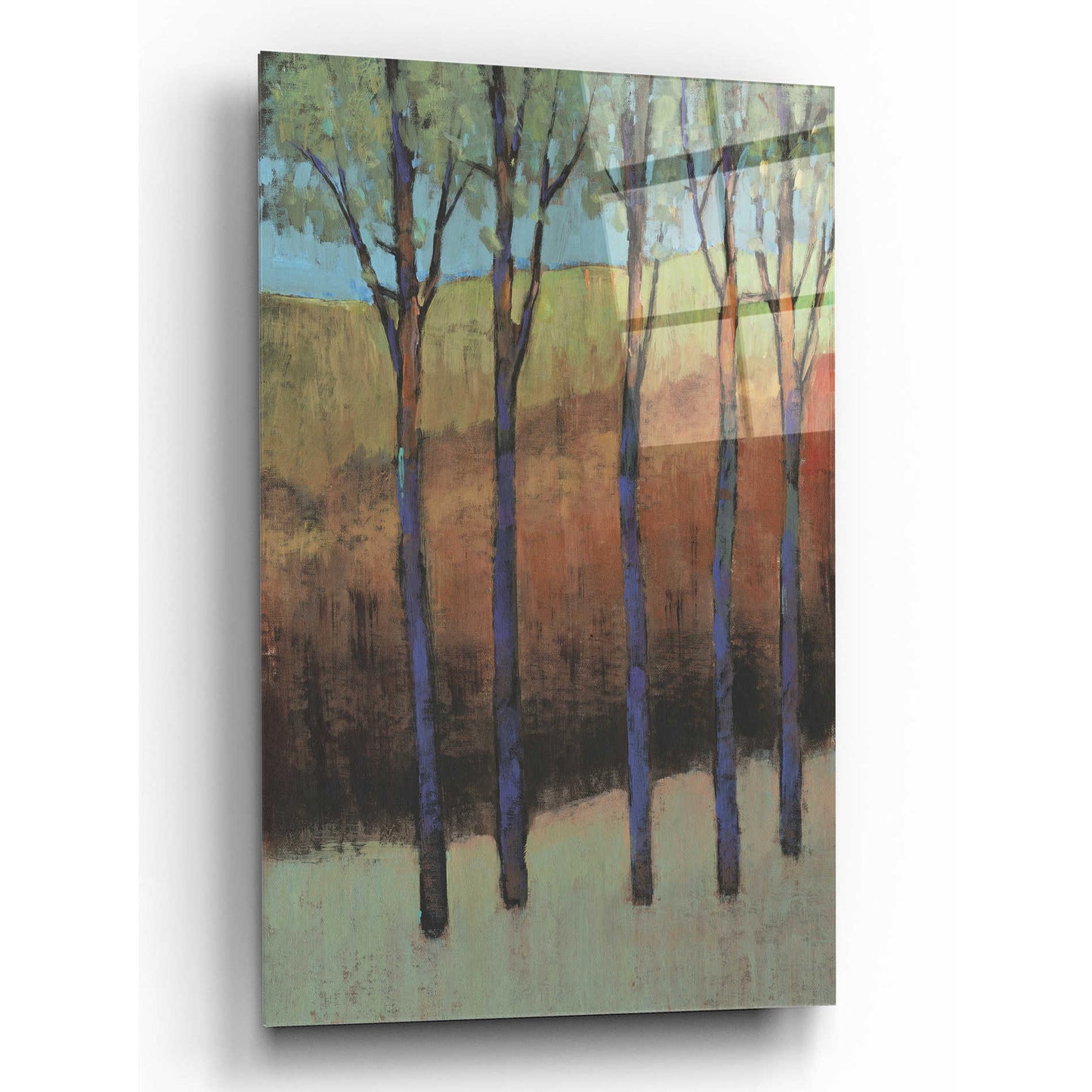 Epic Art 'Glimmer in the Forest II' by Tim O'Toole, Acrylic Glass Wall Art,12x16