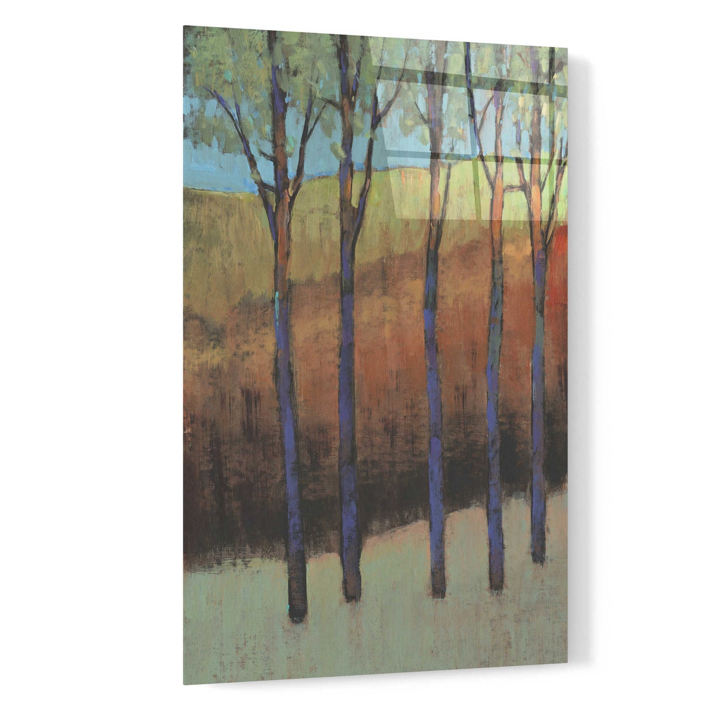 Epic Art 'Glimmer in the Forest II' by Tim O'Toole, Acrylic Glass Wall Art,16x24