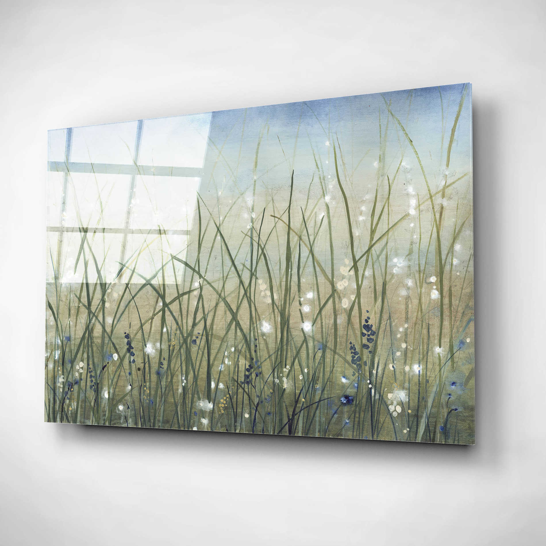 Epic Art 'Bliss II' by Tim O'Toole, Acrylic Glass Wall Art,24x16