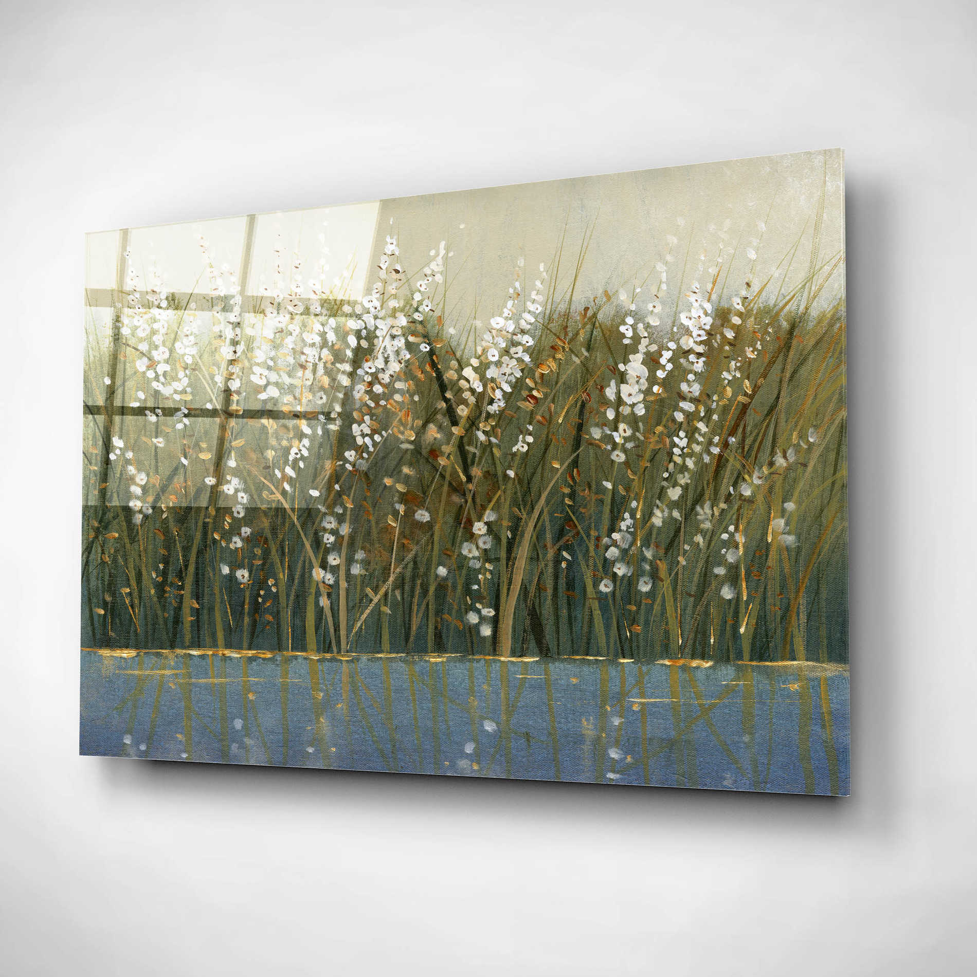 Epic Art 'By the Tall Grass I' by Tim O'Toole, Acrylic Glass Wall Art,16x12