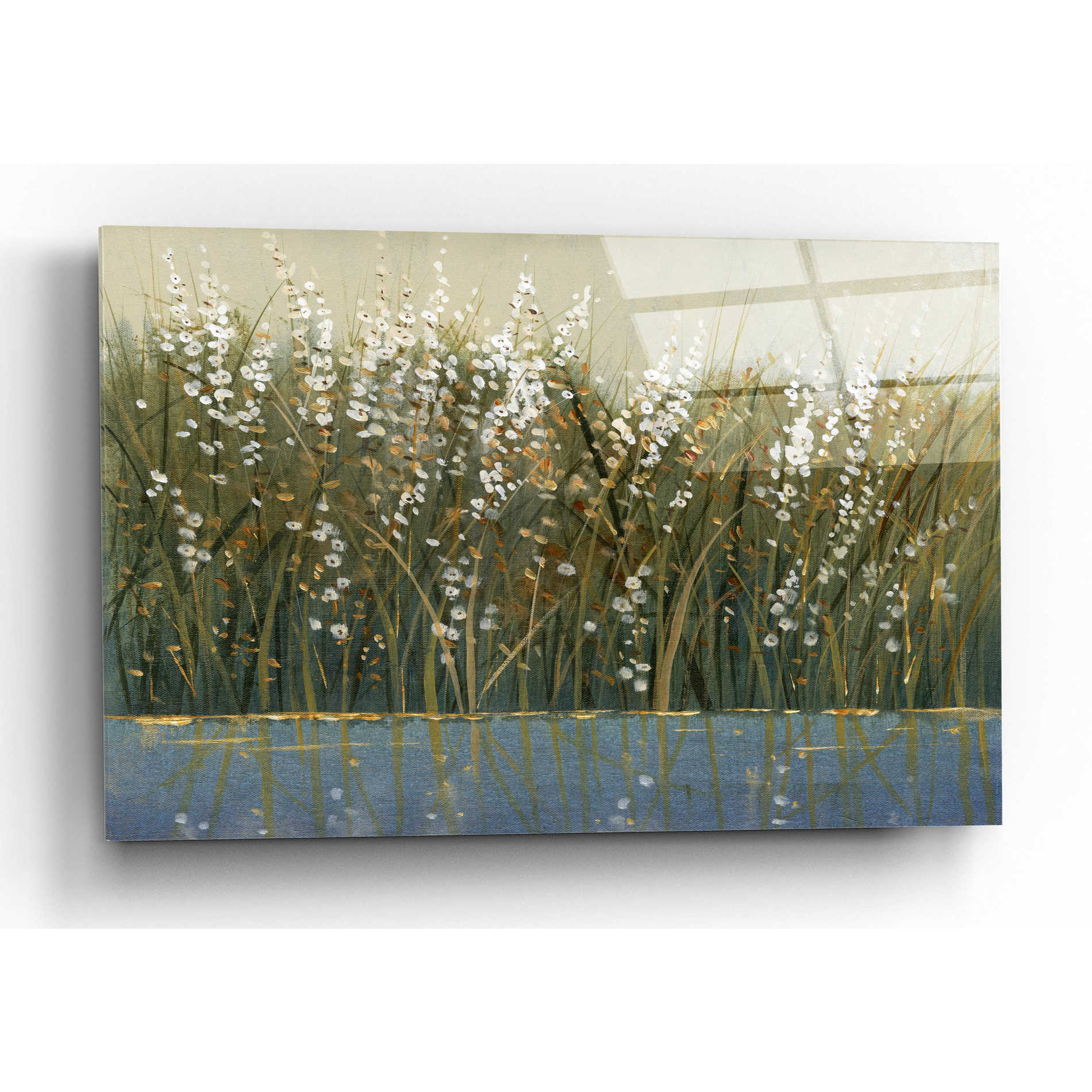 Epic Art 'By the Tall Grass I' by Tim O'Toole, Acrylic Glass Wall Art,16x12