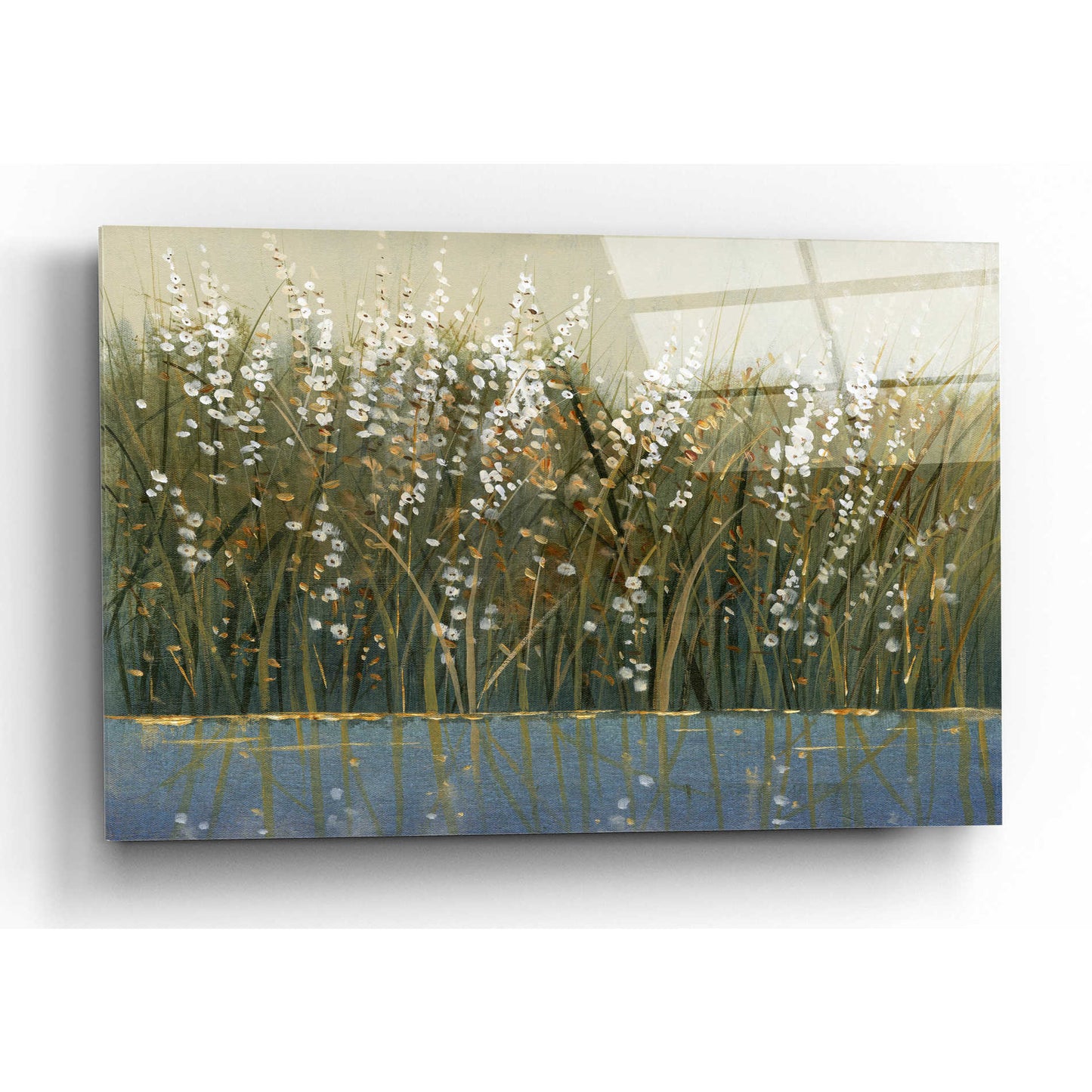Epic Art 'By the Tall Grass I' by Tim O'Toole, Acrylic Glass Wall Art,24x16