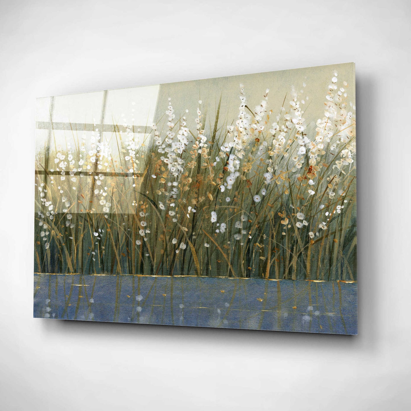 Epic Art 'By the Tall Grass II' by Tim O'Toole, Acrylic Glass Wall Art,16x12
