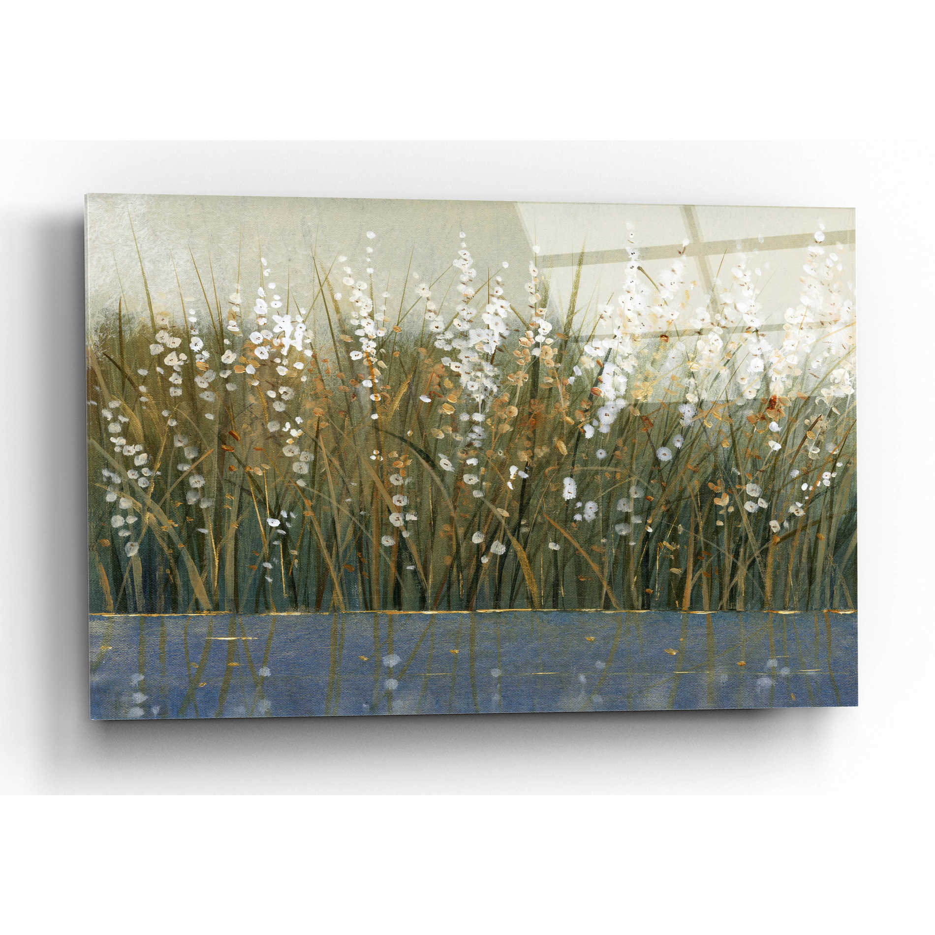 Epic Art 'By the Tall Grass II' by Tim O'Toole, Acrylic Glass Wall Art,16x12