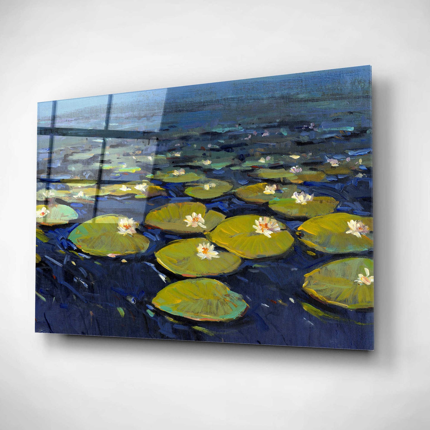 Epic Art 'Lily Pads I' by Tim O'Toole, Acrylic Glass Wall Art,16x12