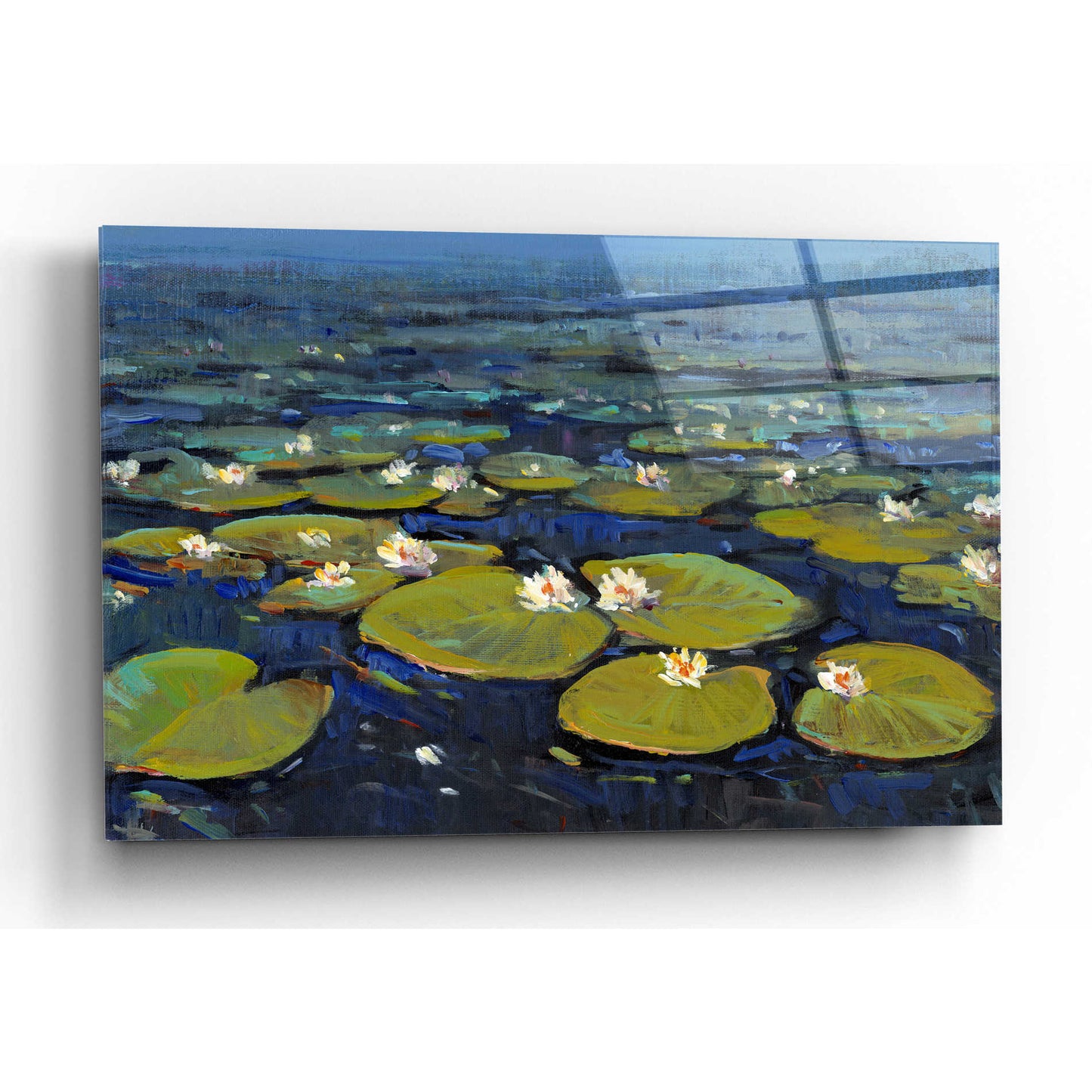 Epic Art 'Lily Pads II' by Tim O'Toole, Acrylic Glass Wall Art,16x12