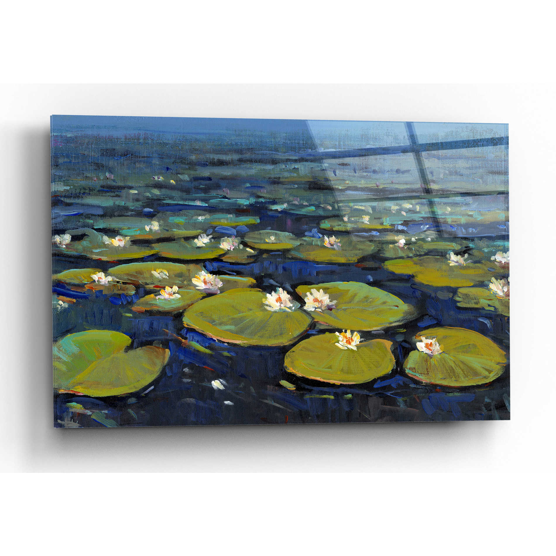 Epic Art 'Lily Pads II' by Tim O'Toole, Acrylic Glass Wall Art,16x12