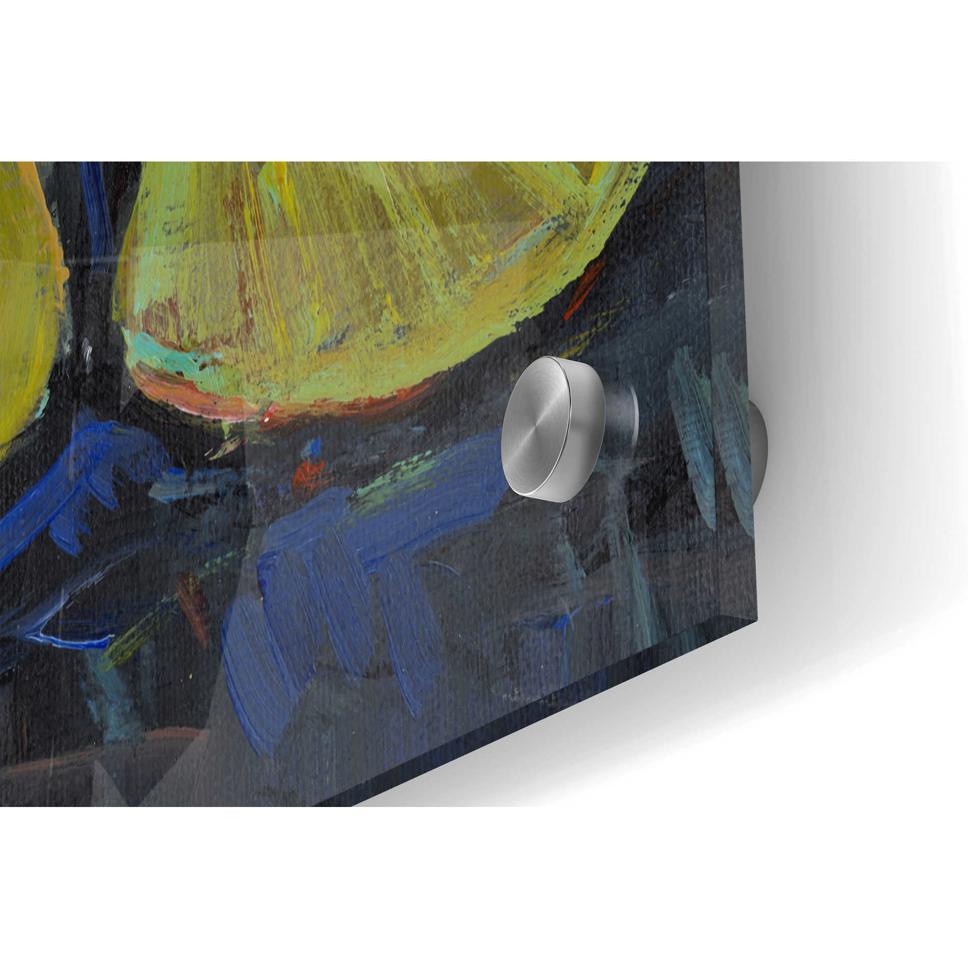 Epic Art 'Lily Pads II' by Tim O'Toole, Acrylic Glass Wall Art,36x24