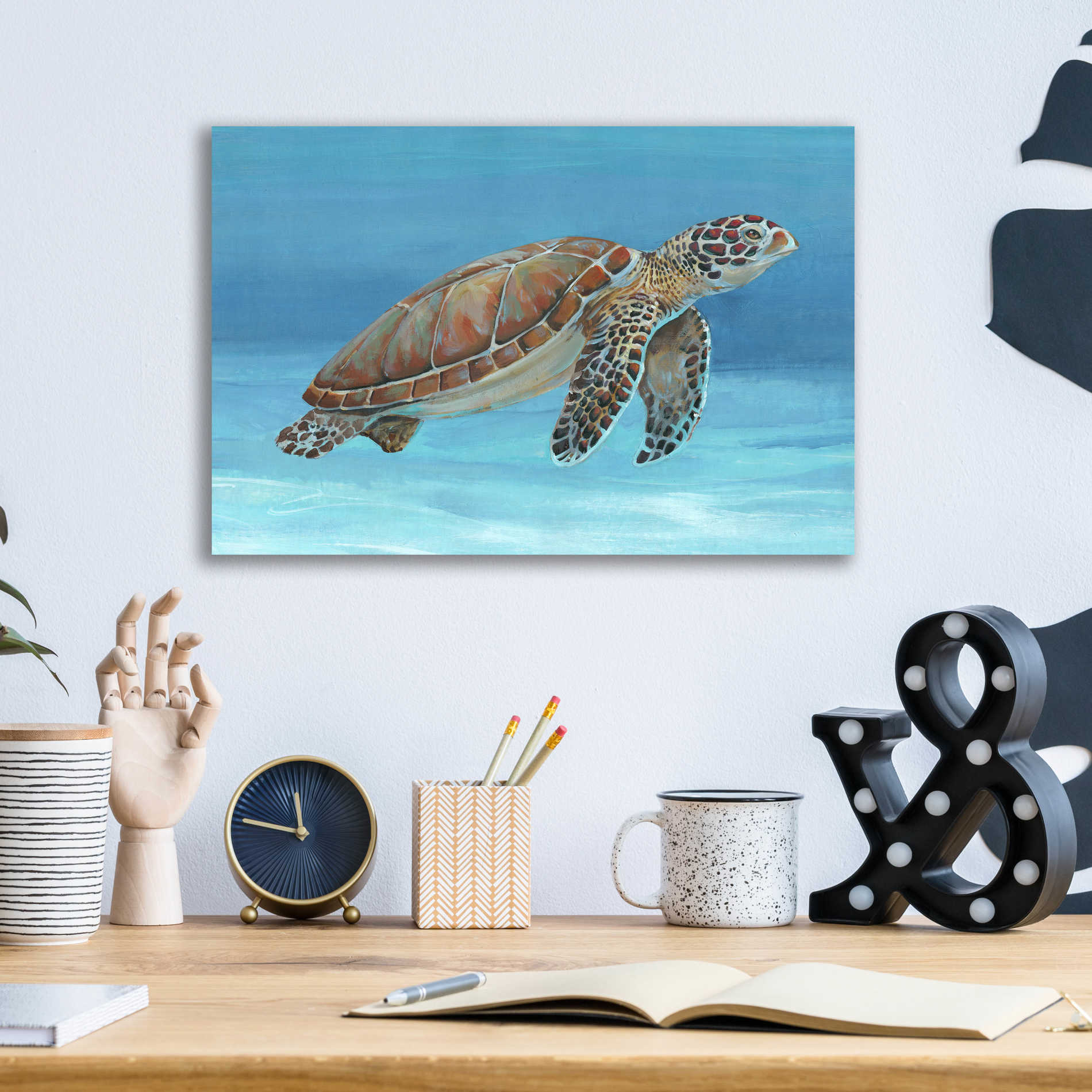 Epic Art 'Ocean Sea Turtle I' by Tim O'Toole, Acrylic Glass Wall Art,16x12