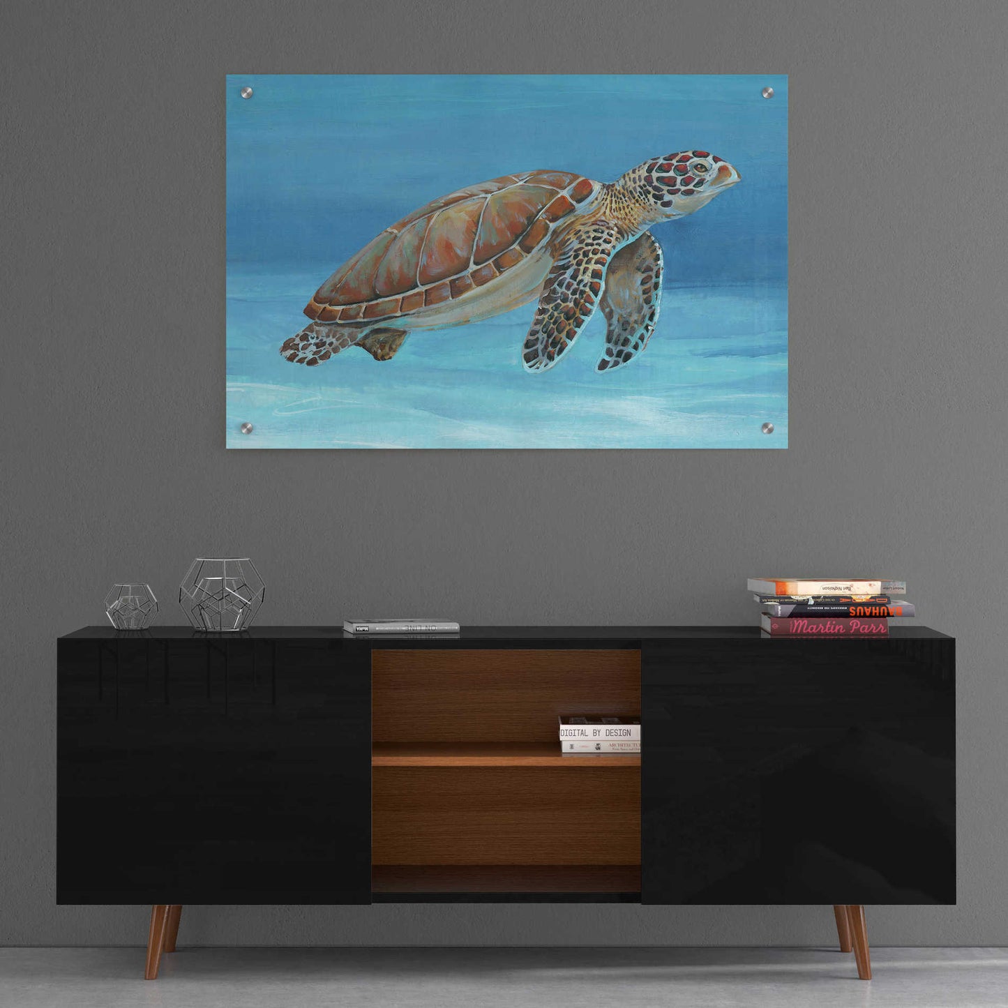 Epic Art 'Ocean Sea Turtle I' by Tim O'Toole, Acrylic Glass Wall Art,36x24