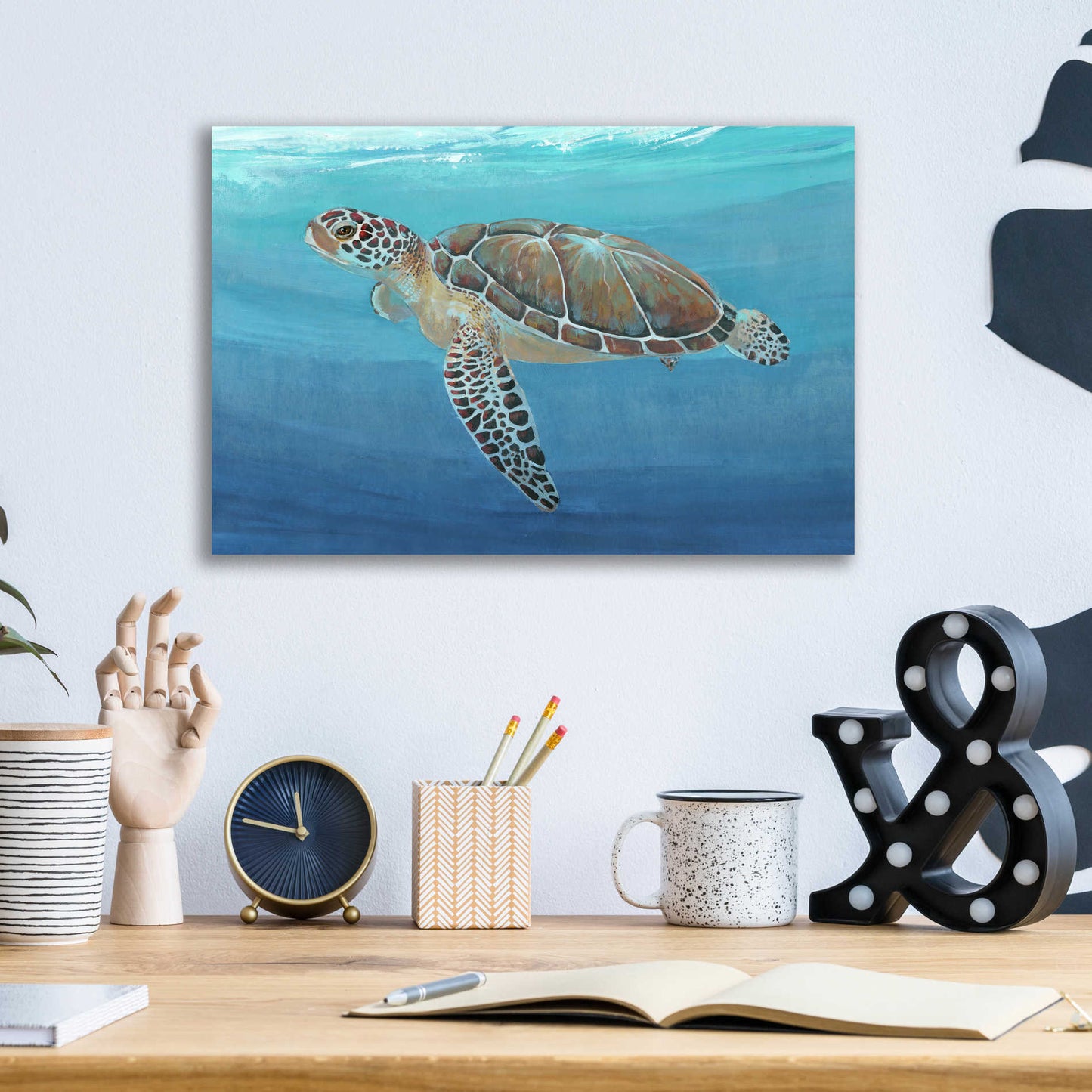 Epic Art 'Ocean Sea Turtle II' by Tim O'Toole, Acrylic Glass Wall Art,16x12