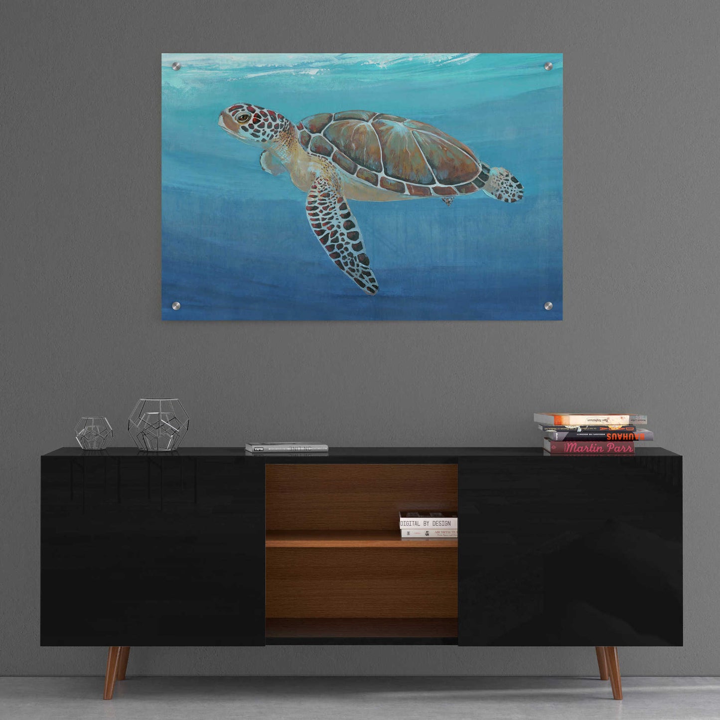 Epic Art 'Ocean Sea Turtle II' by Tim O'Toole, Acrylic Glass Wall Art,36x24