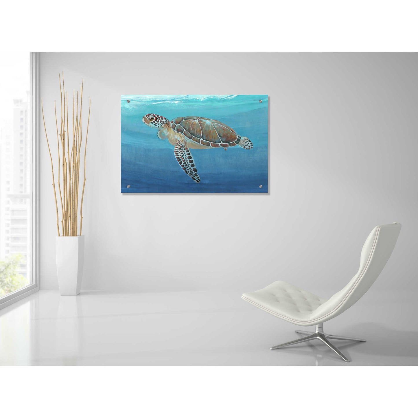 Epic Art 'Ocean Sea Turtle II' by Tim O'Toole, Acrylic Glass Wall Art,36x24