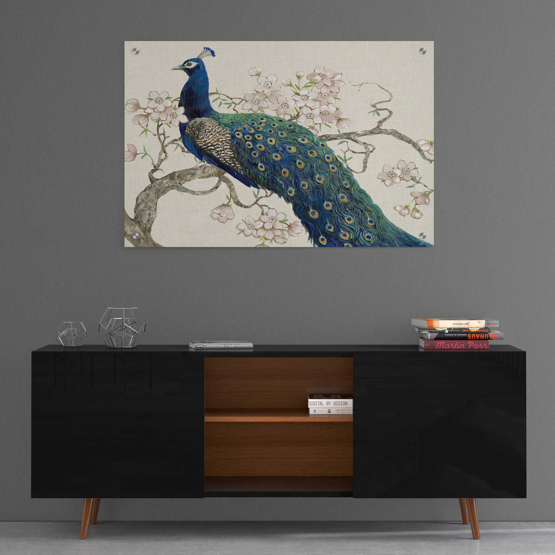 Epic Art 'Peacock & Blossoms II' by Tim O'Toole, Acrylic Glass Wall Art,36x24