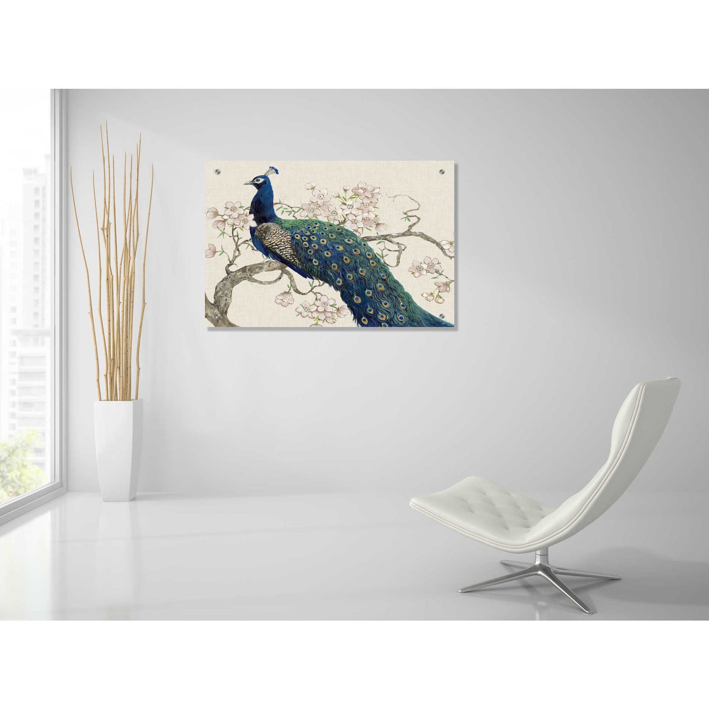 Epic Art 'Peacock & Blossoms II' by Tim O'Toole, Acrylic Glass Wall Art,36x24