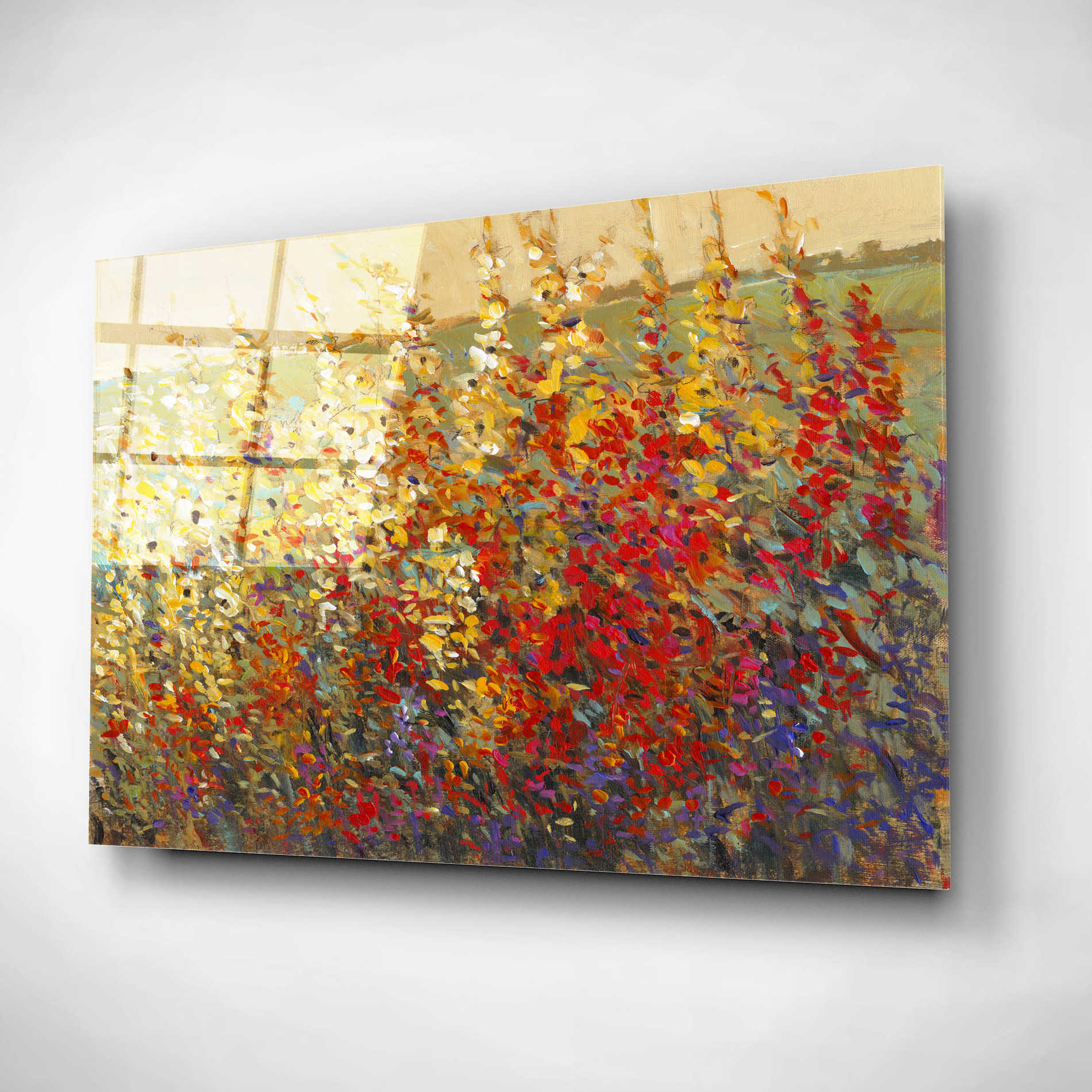 Epic Art 'Field of Spring Flowers I' by Tim O'Toole, Acrylic Glass Wall Art,16x12