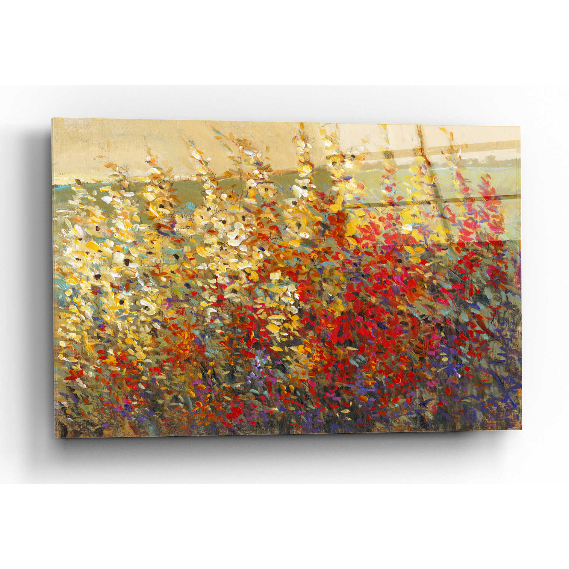 Epic Art 'Field of Spring Flowers I' by Tim O'Toole, Acrylic Glass Wall Art,16x12