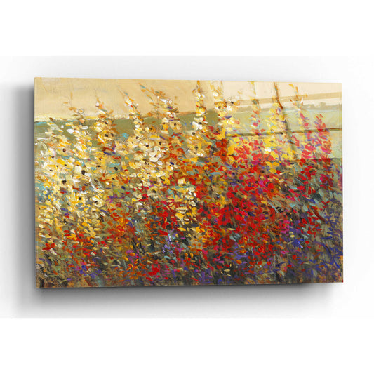 Epic Art 'Field of Spring Flowers I' by Tim O'Toole, Acrylic Glass Wall Art