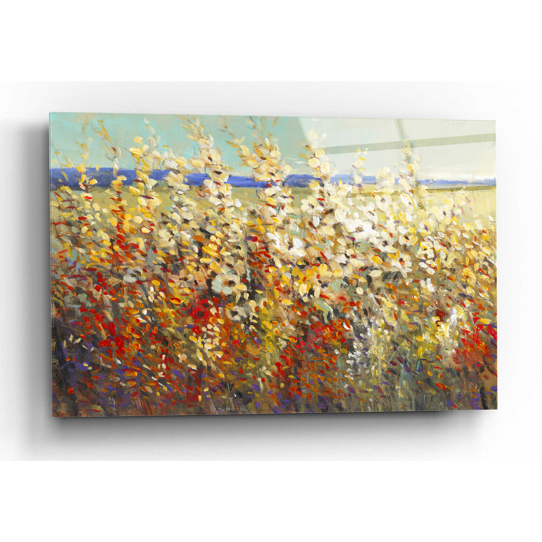 Epic Art 'Field of Spring Flowers II' by Tim O'Toole, Acrylic Glass Wall Art,16x12