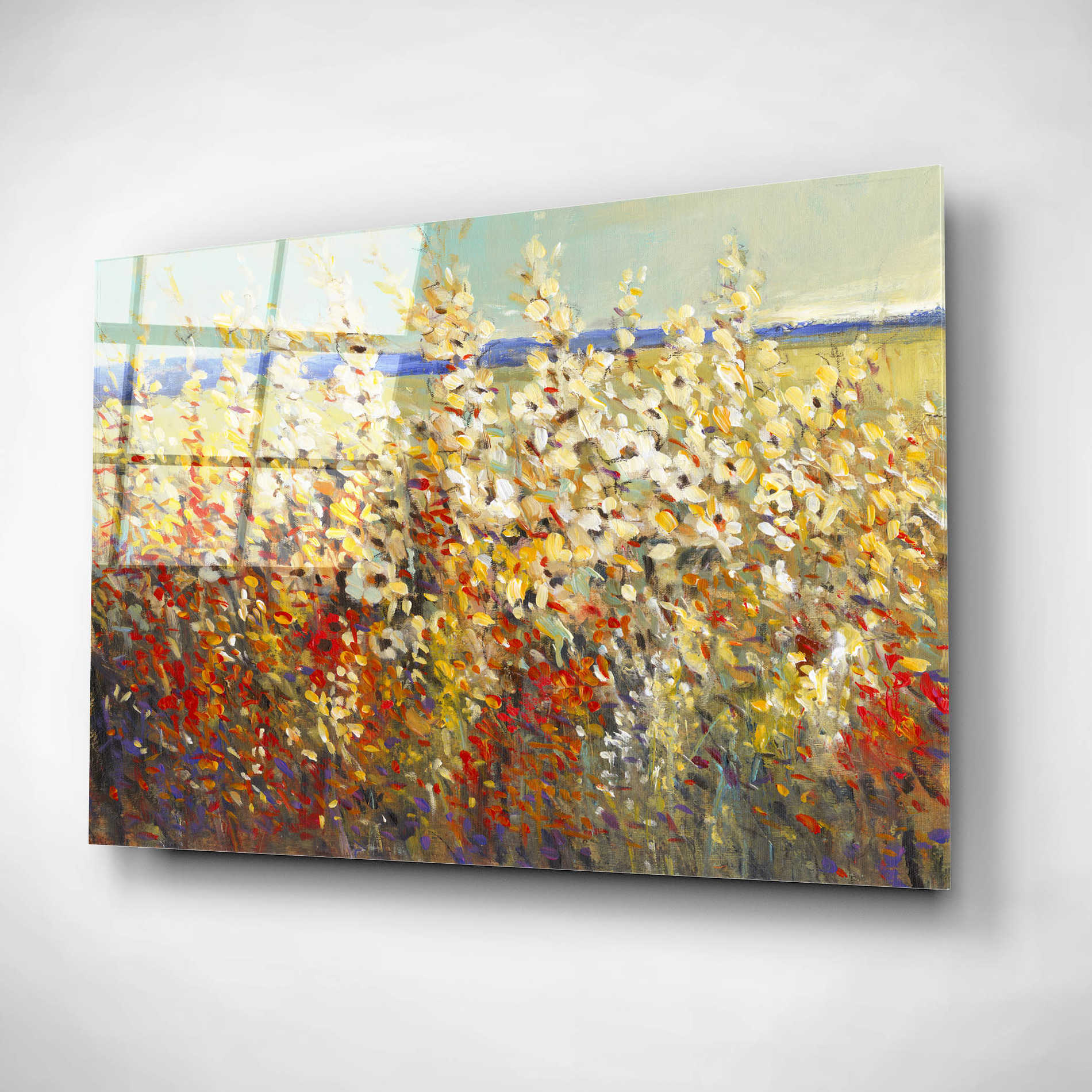 Epic Art 'Field of Spring Flowers II' by Tim O'Toole, Acrylic Glass Wall Art,24x16