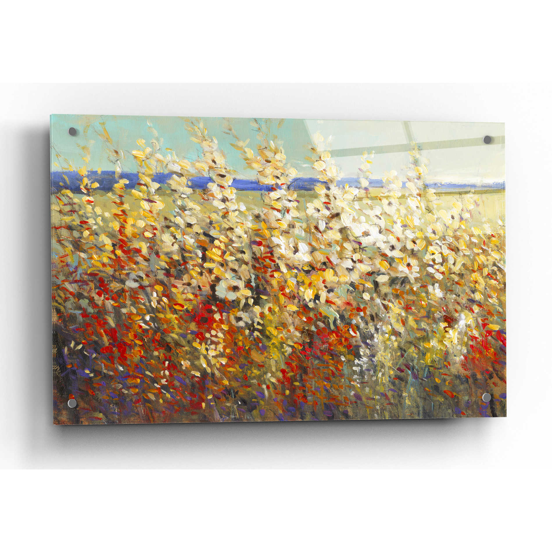 Epic Art 'Field of Spring Flowers II' by Tim O'Toole, Acrylic Glass Wall Art,36x24